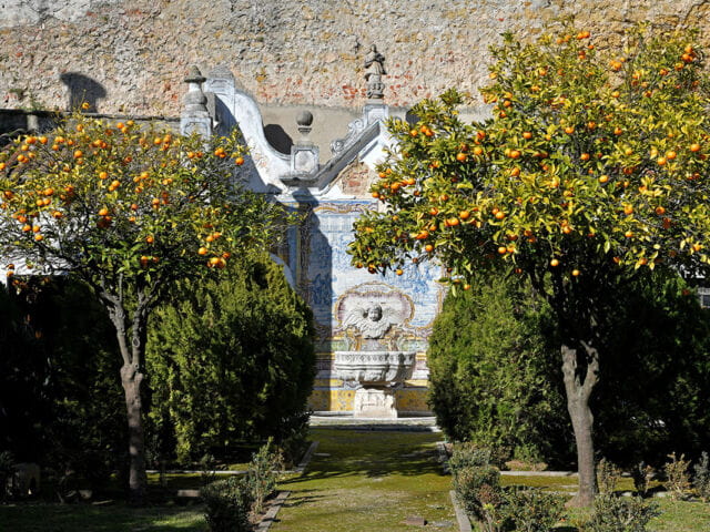 Palácio da Independência: vista parcial do jardim. Foto:MJNunes